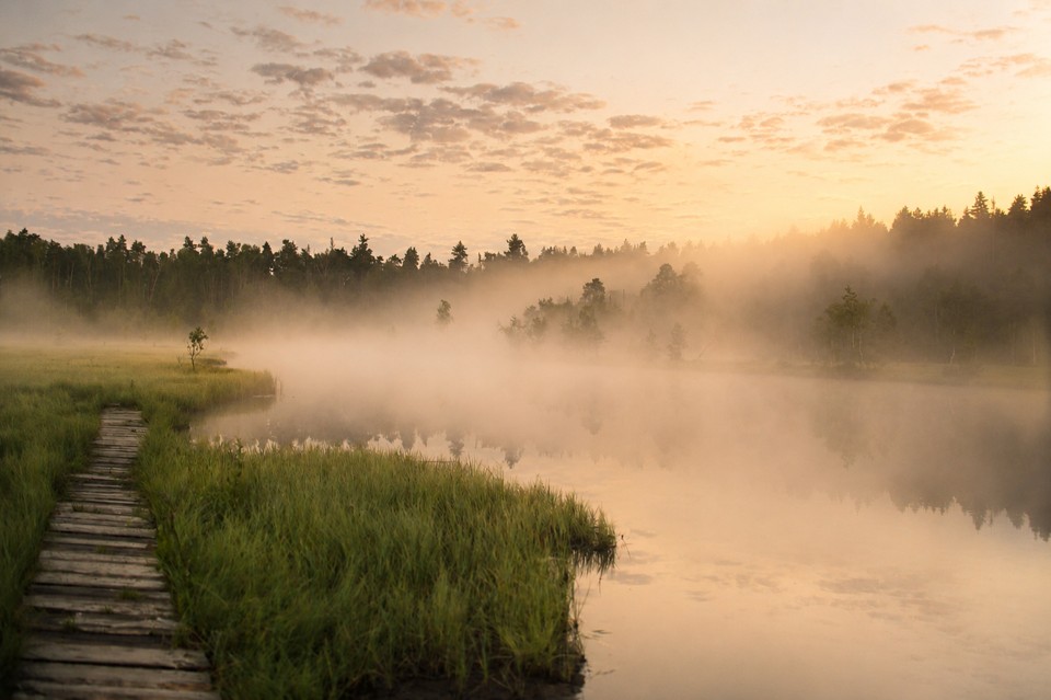 Warm morning light over a misty lake, grasses and a wooden path