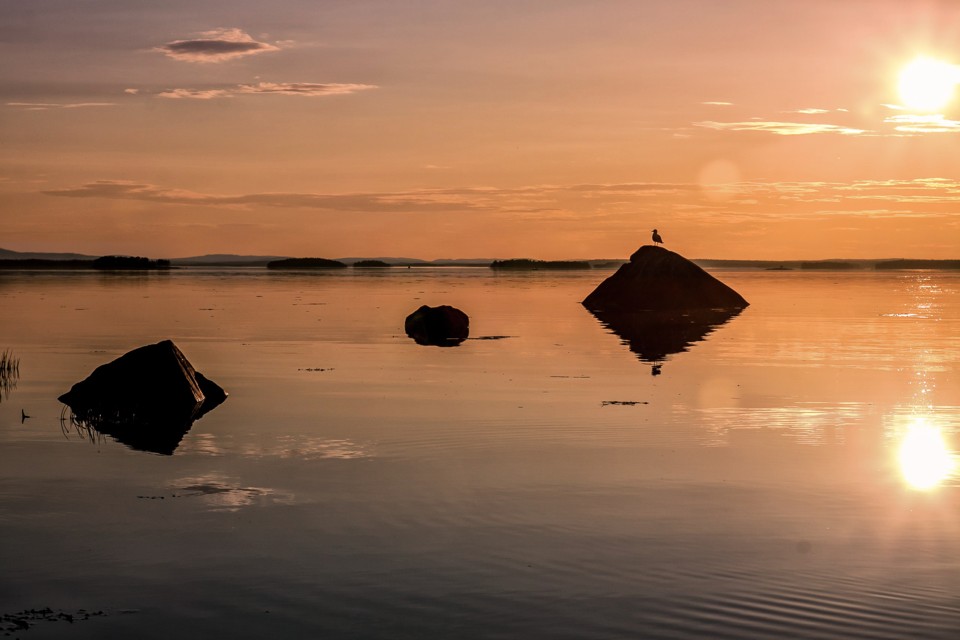 Amber sunset over still water with dark rocks and a bird